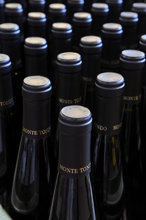Monte Tondo Winery Landhuis Soave (Verona)