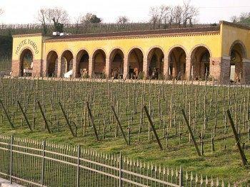 Monte Tondo Winery Landhuis Soave (Verona)